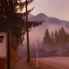 Plakaty z Twin Peaks - kultowe grafiki, które musisz zobaczyć 